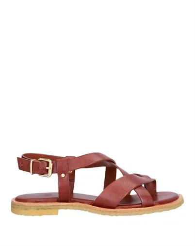 Billi Bi - T8012 Sandal - T.Moro